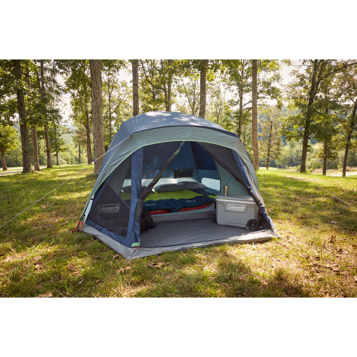 6-Person SKYDOME Screenroom